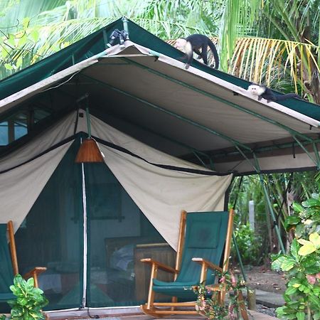 Rafiki Beach Camp Matapalo  Εξωτερικό φωτογραφία