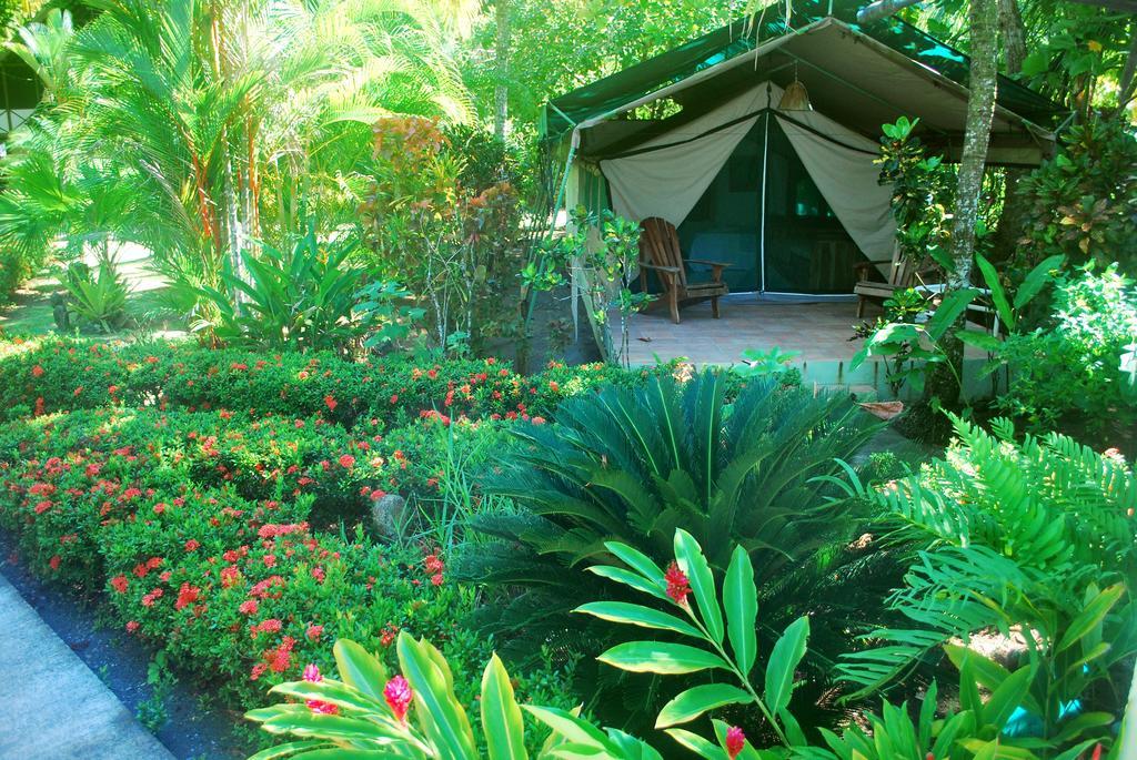 Rafiki Beach Camp Matapalo  Δωμάτιο φωτογραφία