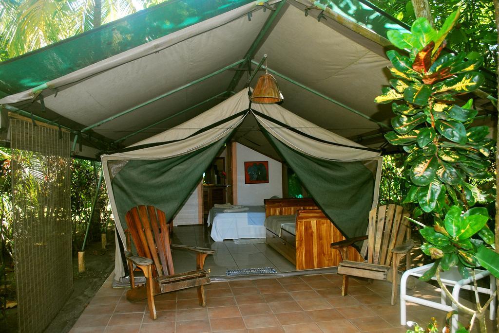 Rafiki Beach Camp Matapalo  Δωμάτιο φωτογραφία
